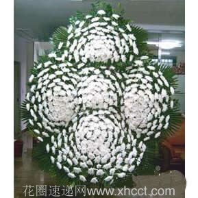 无言的结局-白菊花分成上、中、下、左、右五部分插，外围大片散尾葵和绿叶。花圈支架和花拍。