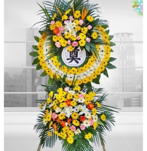 һ��������-�ջ��ٺϸ�����Ҷ��������ͼ���ƣ����ֱ��1�ף������ԼΪ1.6������<����Ȧ>