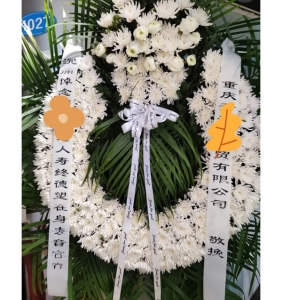 �黳����-�ջ�õ����Ҷ��������ͼ���ƣ����ֱ��1�ף������ԼΪ1.6������<����Ȧ>