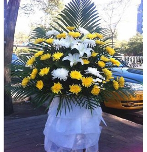 �黳����-�ջ����ٺϣ�ɢβҶ����ϣ�������»�������1.3������<���Ứ��>