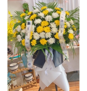 ��������-�ջ���ɢβҶ������ϣ�������»�������1.3������<���Ứ��>