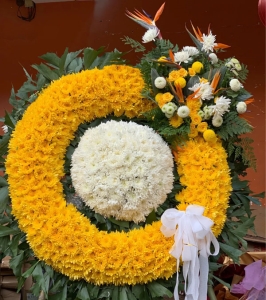 �黳����-�ջ������ա���������Ҷ��������ͼ���ƣ����ֱ��1�ף������ԼΪ1.6������<����Ȧ>