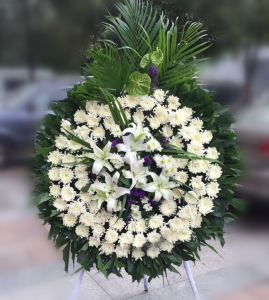 ���ɴ��-�ջ����ٺϡ���Ҷ��������ͼ���ƣ����ֱ��1�ף������ԼΪ1.6������<����Ȧ>