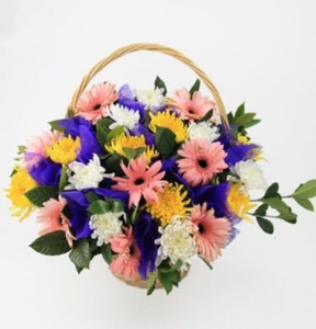 ����չ�-�ջ������ʣ���Ҷ��壬10*10CM����<���仨��>