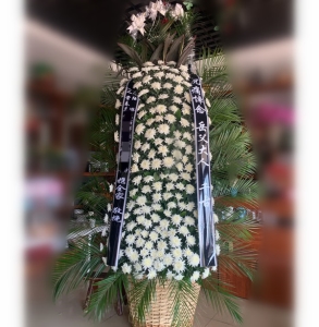�������-�ջ���ɢβҶ����ϣ��������»�������Լ1.8������<���Ứ��>