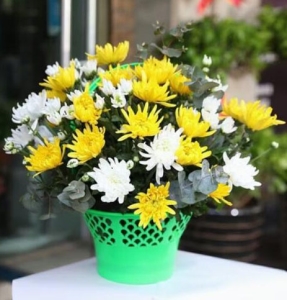 ���䳤��-�ջ�����Ҷ��壬10*10CM����<���仨��>