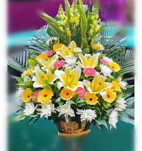 ��������-�ջ������ʡ��ٺϣ���Ҷ��壬15*15CM����<���仨��>