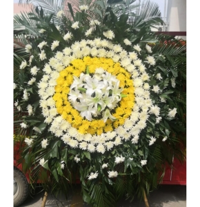 �����̴�-�ջ����ٺϡ���Ҷ��������ͼ���ƣ����ֱ��1�ף������ԼΪ1.6������<����Ȧ>