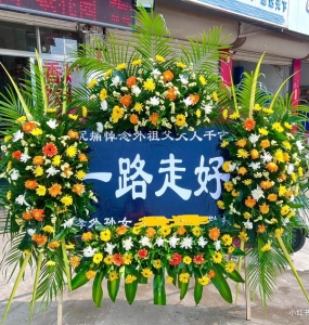 �黳����-�ջ������ʣ���Ҷ���� 1.8-2�ף���1-1.6������<���컨��>