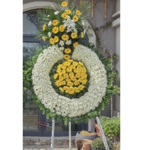 ΰҵ�Ṧ-�ջ����ٺϡ����ʡ���Ҷ��������ͼ���ƣ����ֱ��1�ף������ԼΪ1.6������<����Ȧ>