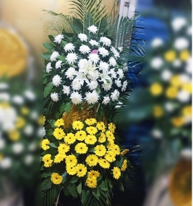 ��������-�ջ����ٺϡ�ɢβҶ����ϣ�˫����»�������1.5������<���Ứ��>