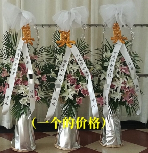 ��˪�߽�-�ٺϡ�ɢβҶ����ϣ�������»�������1.3������<���Ứ��>