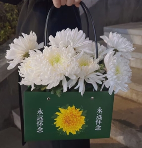 ¥�տ���-�ջ�����Ҷ��壬10*10CM����<���仨��>