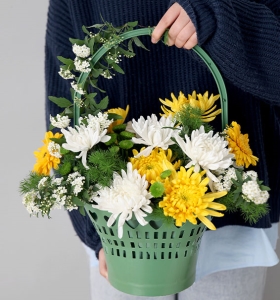 ��������-�ջ�����Ҷ��壬10*10CM����<���仨��>
