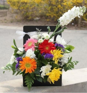 �����ŷ�-�ջ�����Ҷ��壬10*10CM����<���仨��>