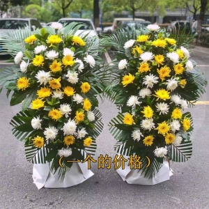 ˼�����-�ջ���ɢβҶ����ϣ�˫����»�������1.3������<���Ứ��>
